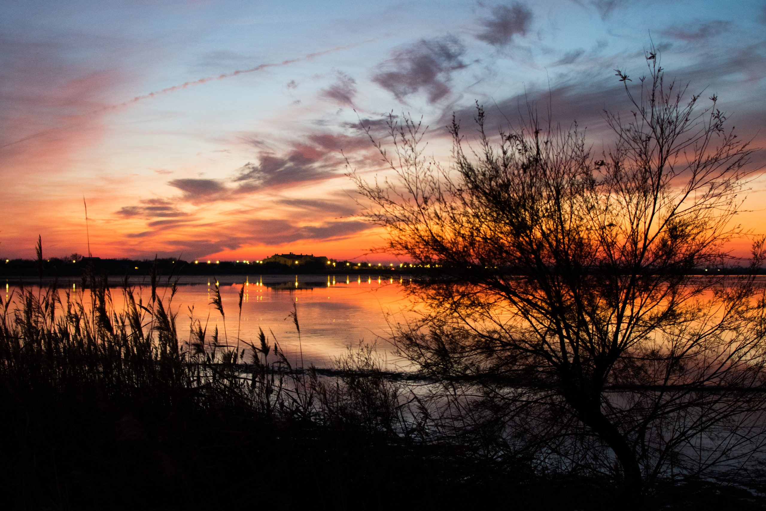 Camargue Hiver – François (1 sur 2)