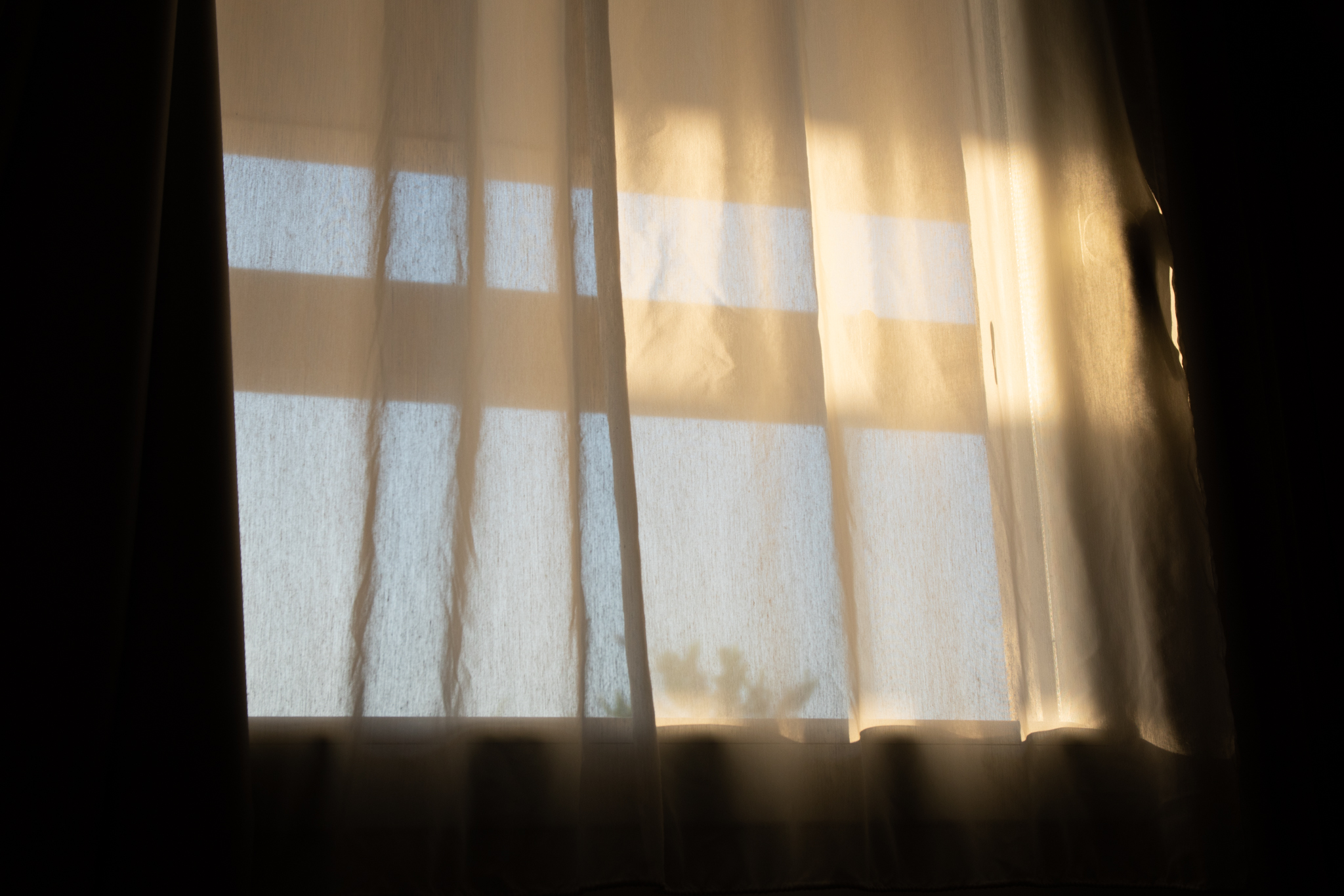 06072019-DSC_6915